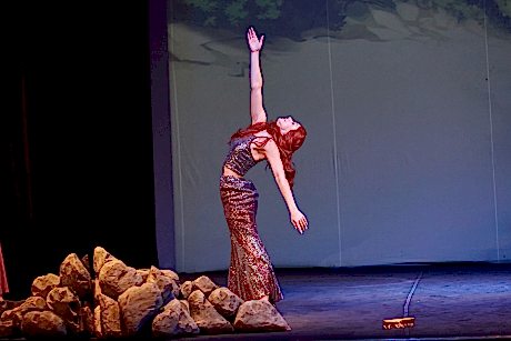 Волшебный пластический спектакль 